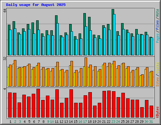 Daily usage for August 2025
