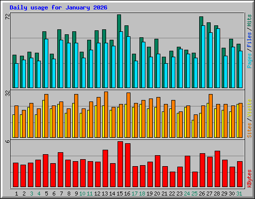 Daily usage for January 2026