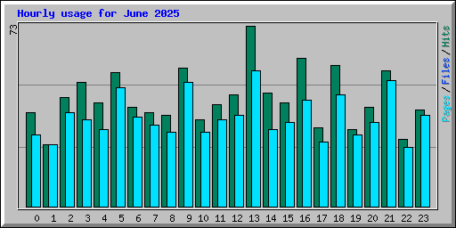 Hourly usage for June 2025