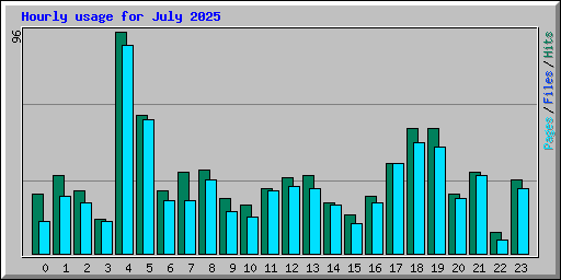 Hourly usage for July 2025