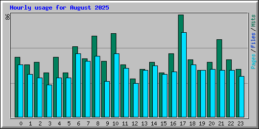 Hourly usage for August 2025