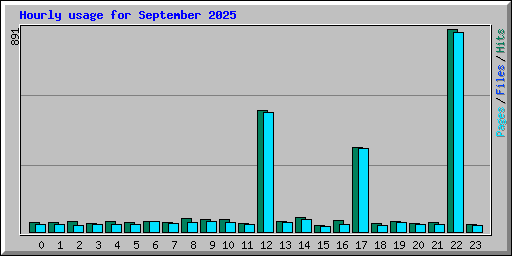Hourly usage for September 2025