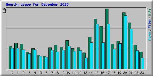 Hourly usage for December 2025