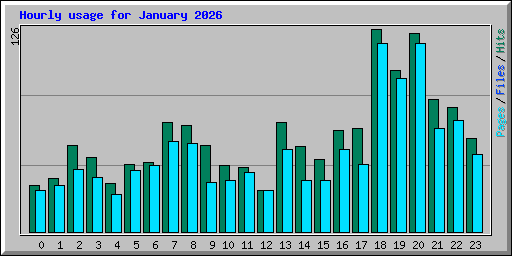 Hourly usage for January 2026